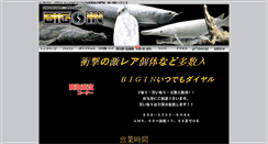 Desktop Screenshot of big-in.jp